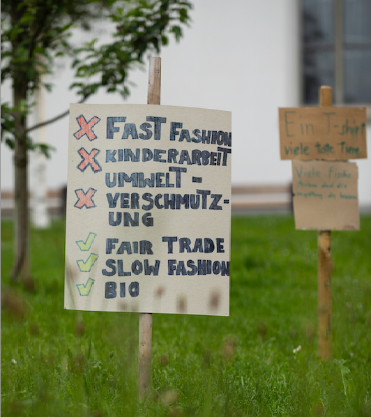 Everlane’s Michael Preysman: ‘Buying carbon offsets is an excuse to continue to reap carbon’