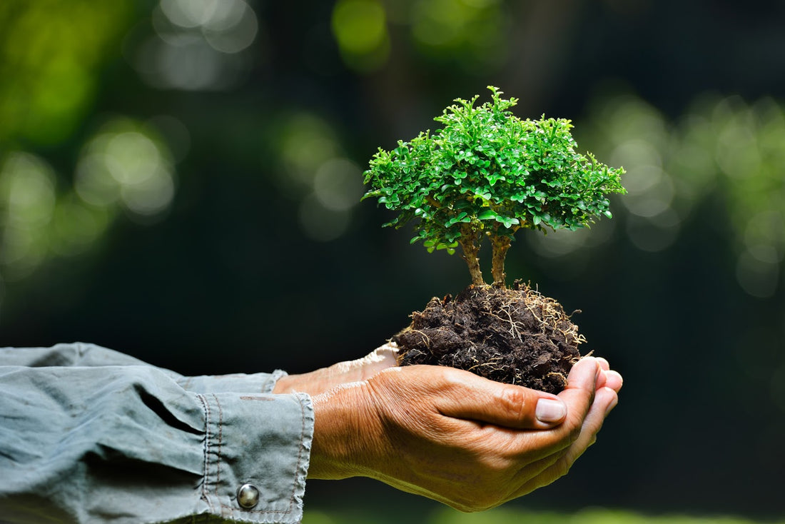 The Impact on Mental Well-being