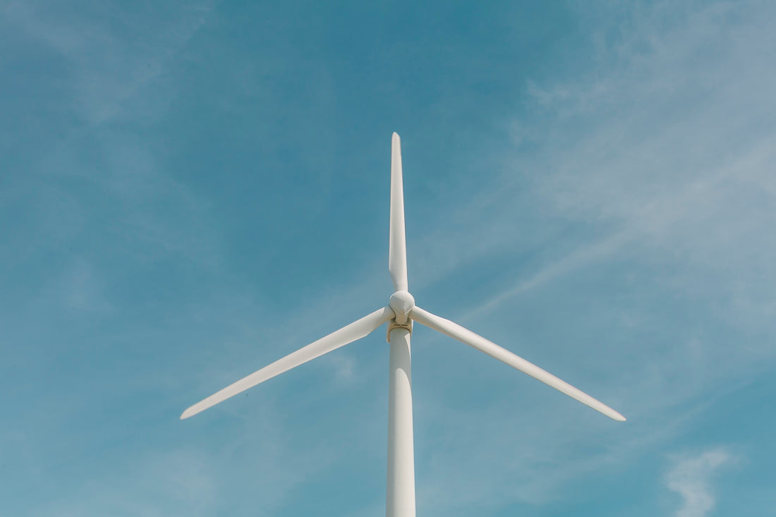 Dhruti Patel - Sustainability Consultant
