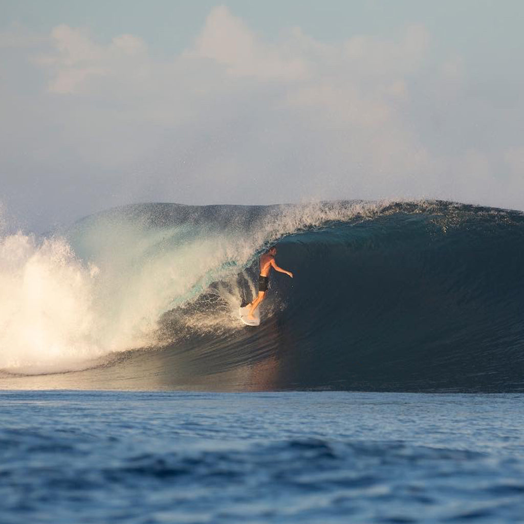 NEPTUNE BOARDSHORT