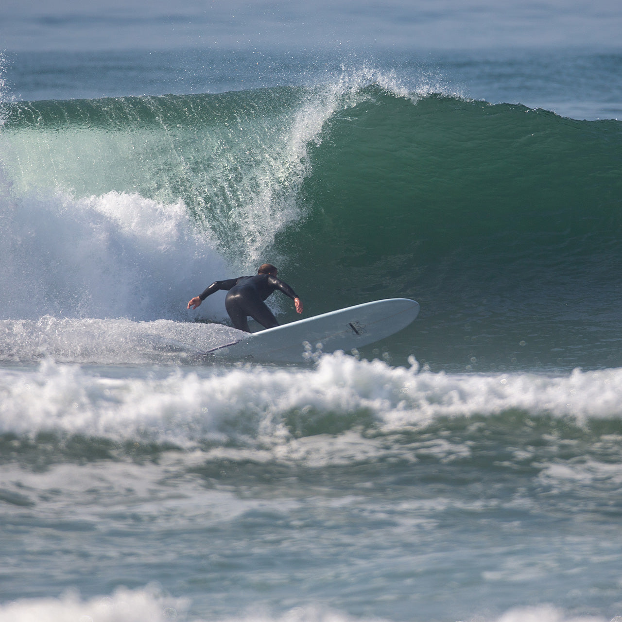 AIPA - Big Brother Sting