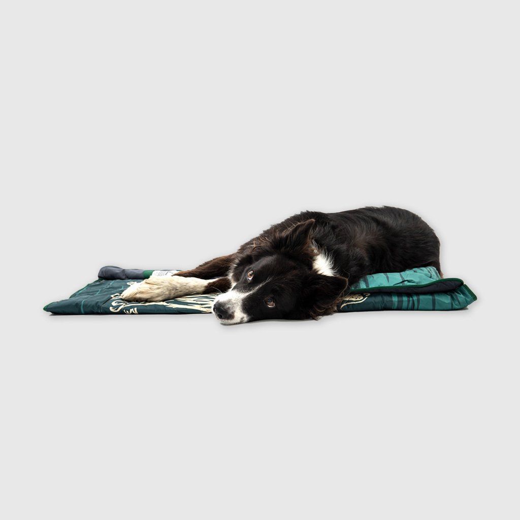 VOITED Quilted Premium Recycled Pet Blanket